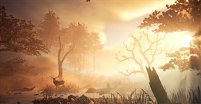 World Building