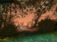 The Green District - TCOS