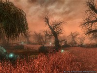 The Green District - TCOS