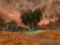 The Green District - TCOS