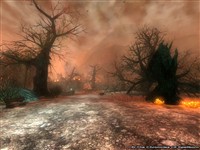 The Green District - TCOS
