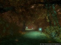 The Green District - TCOS