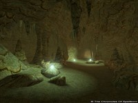 Ringfell - TCOS