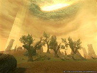 Ringfell - TCOS