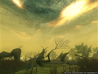 Ringfell - TCOS