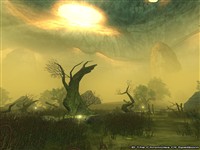 Ringfell - TCOS